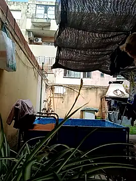 Snapshot of rusher27 chatting on January 2026 02:10:01 PM rusher27 online show from January 2026 02:10:01 PM