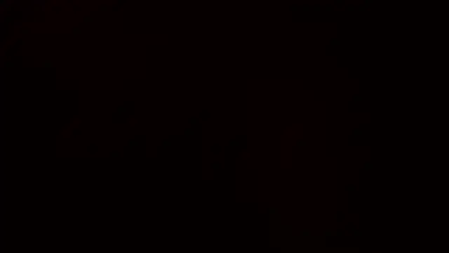 Ashinaga oj online show from December 2024 10:24:01 AM