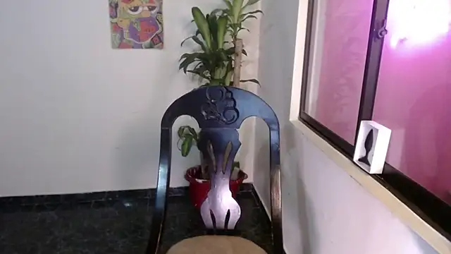 Snapshot of mailer_parsonss chatting on March 2025 03:47:02 PM mailer parsonss online show from March 2025 03:47:02 PM