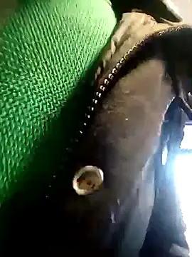 Snapshot of BZHsex chatting on March 2025 05:28:02 PM BZHsex online show from March 2025 05:28:02 PM