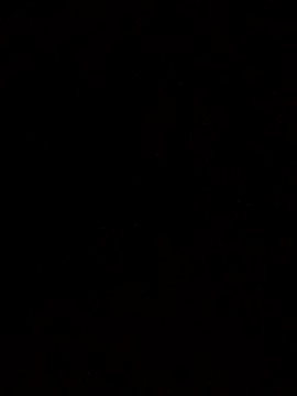 Snapshot of Flaquito_pitudo chatting on March 2025 10:36:01 AM Flaquito pitudo online show from March 2025 10:36:01 AM