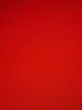 Melissa crazy online show from December 2024 03:22:02 PM