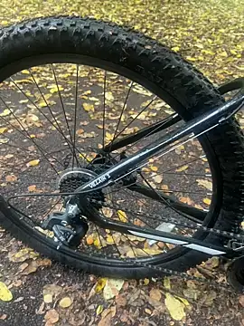 Snapshot of Shyboy817 chatting on October 2025 02:50:02 PM Shyboy817 online show from October 2025 02:50:02 PM