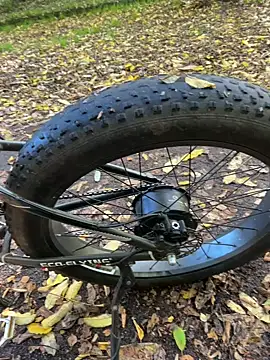 Snapshot of Shyboy817 chatting on October 2025 02:20:01 PM Shyboy817 online show from October 2025 02:20:01 PM