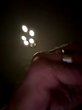 Snapshot of Shyboy817 chatting on November 2025 02:00:01 AM Shyboy817 online show from November 2025 02:00:01 AM