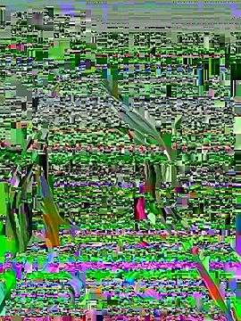 Vikki toriya online show from March 2026 05:15:01 PM