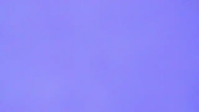 Cute  Pony online show from June 2026 12:48:02 AM