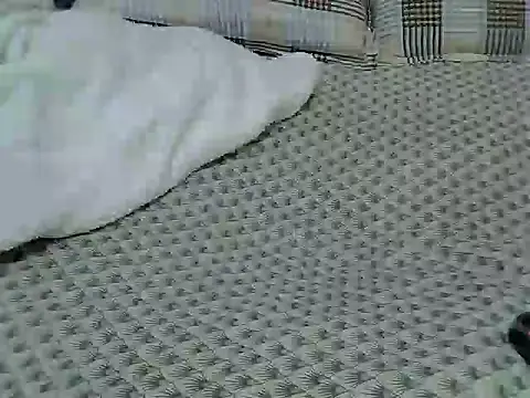 carey2 online show from December 2025 05:03:02 AM