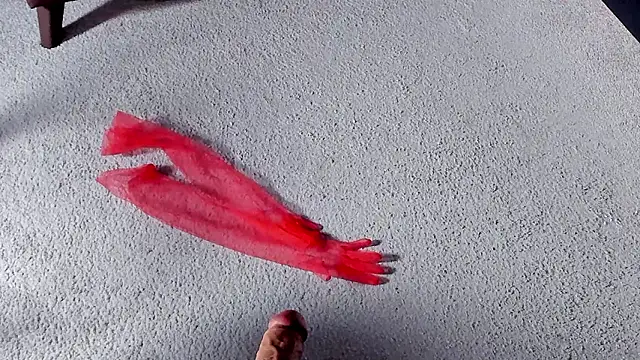 Dorothy Meyer online show from March 2026 08:26:33 AM