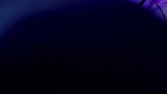 violett lo online show from July 2026 03:12:02 AM