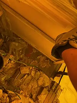 cussy007 online show from April 2026 10:10:01 AM