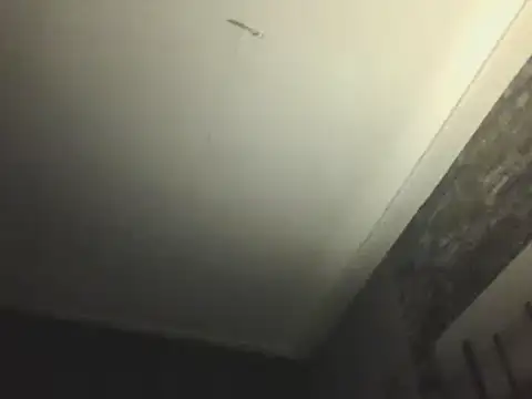 Snapshot of Prehistorixxx2686 chatting on January 2025 06:28:02 AM Prehistorixxx2686 online show from January 2025 06:28:02 AM