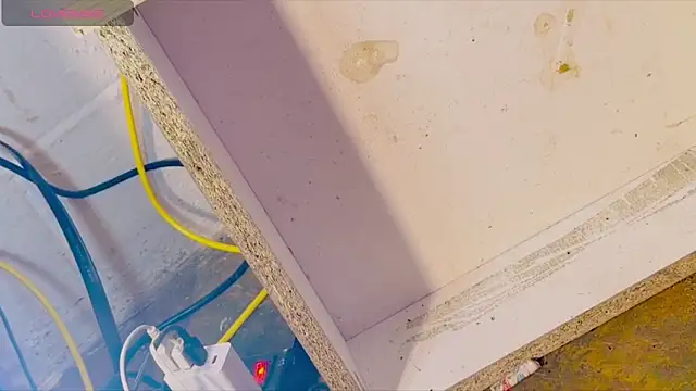 anotherbigboy  online show from April 2026 09:03:01 AM