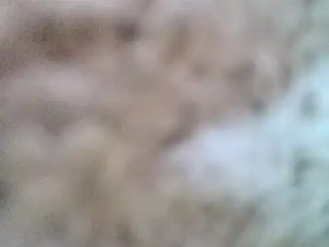 DaddyQuimHot online show from February 2025 12:08:02 PM