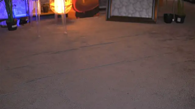 EvaZane online show from January 2025 03:04:02 PM