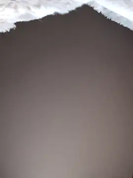 Snapshot of No-ties-fk chatting on February 2026 01:14:02 PM No-ties-fk online show from February 2026 01:14:02 PM