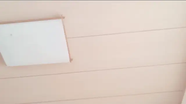 xxArisaxx online show from December 2025 05:59:01 AM