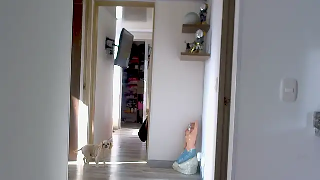 adan eva960 online show from September 2025 12:59:02 PM