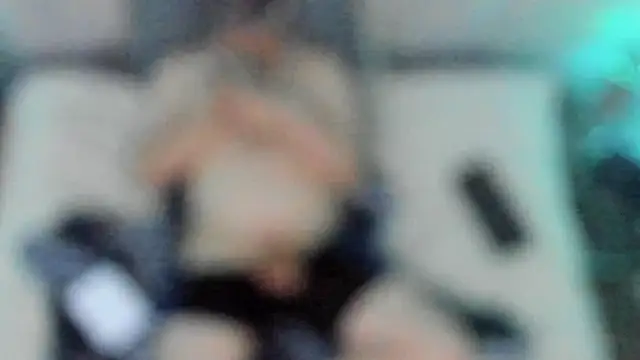 stillwild online show from December 2024 06:53:02 PM