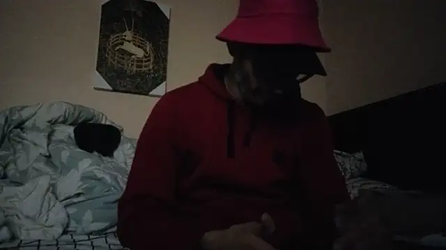 hailzeffn online show from November 2025 10:37:01 AM