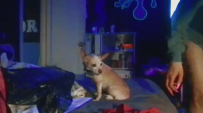 watermellonpussy online show from December 2024 05:55:02 AM