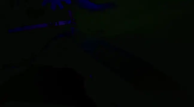 watermellonpussy online show from January 2025 03:54:02 AM