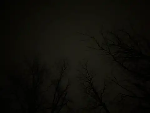 watermellonpussy online show from March 2025 06:37:01 AM