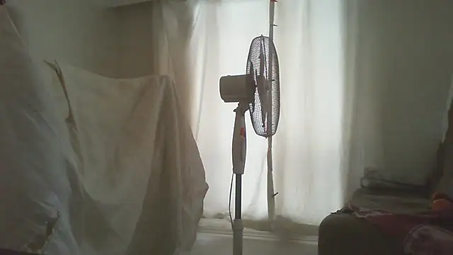 thekeys online show from November 2025 10:38:01 AM