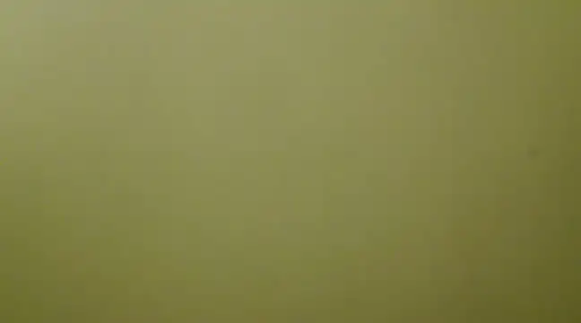  Blue Ruubyy  online show from February 2025 12:37:01 PM