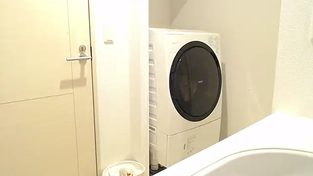 Snapshot of Kakushi_dori chatting on December 2024 05:00:01 PM Kakushi dori online show from December 2024 05:00:01 PM