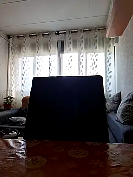 Javier bear online show from May 2026 08:21:02 AM