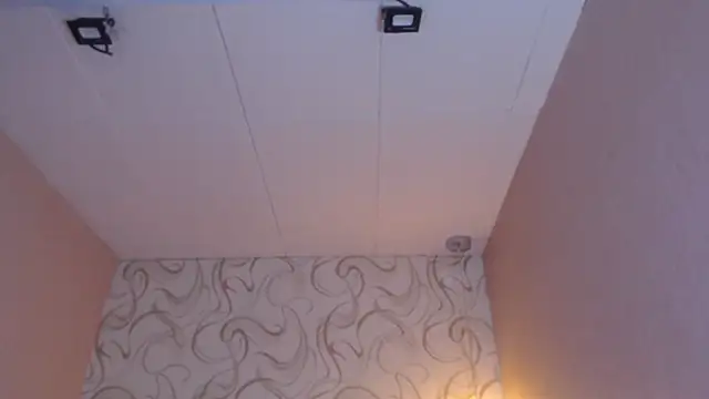 LiaHarryis online show from March 2025 01:07:02 PM