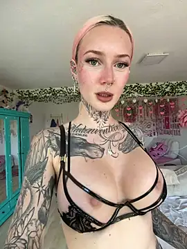 Stella-Kink online show from May 2026 12:22:02 PM
