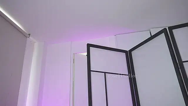 Snapshot of roselinedior chatting on March 2026 01:51:03 PM roselinedior online show from March 2026 01:51:03 PM