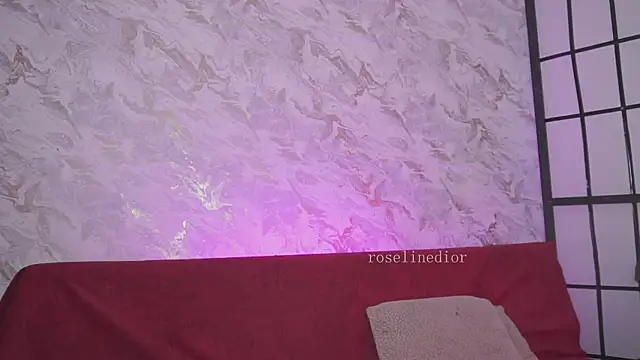 Snapshot of roselinedior chatting on March 2026 02:34:01 PM roselinedior online show from March 2026 02:34:01 PM