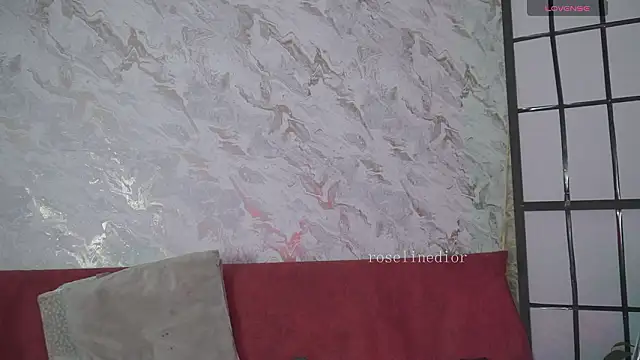 Snapshot of roselinedior chatting on March 2026 02:20:02 PM roselinedior online show from March 2026 02:20:02 PM