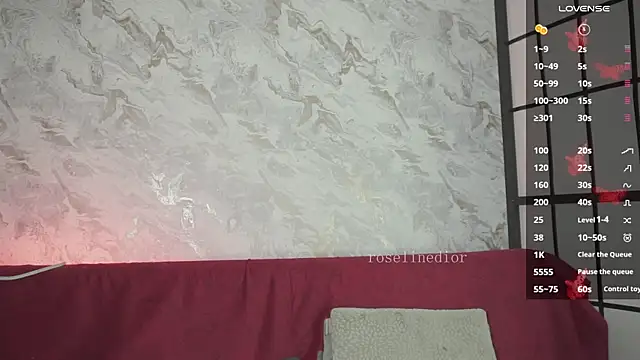 Snapshot of roselinedior chatting on March 2026 03:12:01 PM roselinedior online show from March 2026 03:12:01 PM