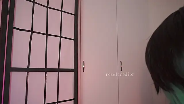 Snapshot of roselinedior chatting on April 2026 12:29:02 PM roselinedior online show from April 2026 12:29:02 PM