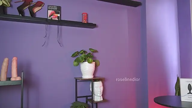 Snapshot of roselinedior chatting on May 2026 02:45:01 PM roselinedior online show from May 2026 02:45:01 PM