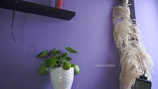 Snapshot of roselinedior chatting on May 2026 04:24:01 PM roselinedior online show from May 2026 04:24:01 PM