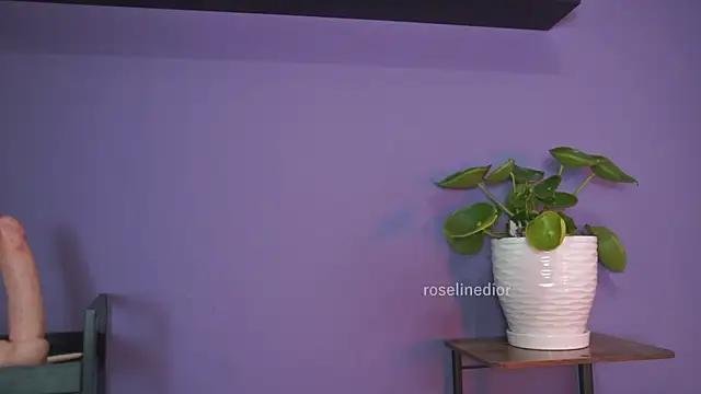 Snapshot of roselinedior chatting on May 2026 01:29:02 PM roselinedior online show from May 2026 01:29:02 PM