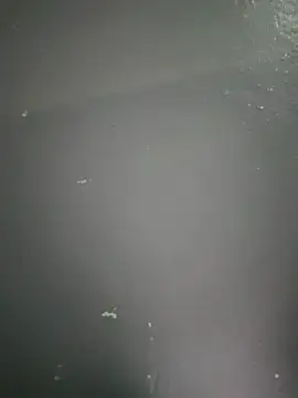 Snapshot of kamasutra20 chatting on December 2025 01:01:02 AM kamasutra20 online show from December 2025 01:01:02 AM