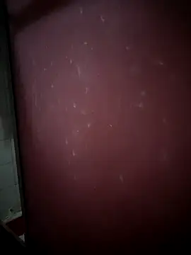 Snapshot of kamasutra20 chatting on December 2025 12:07:02 AM kamasutra20 online show from December 2025 12:07:02 AM