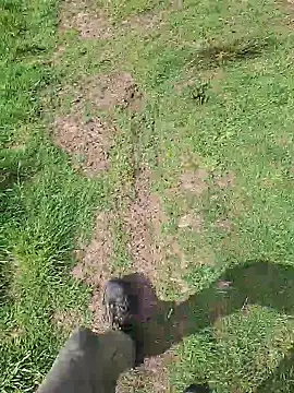 Snapshot of FreezingTie850 chatting on May 2026 10:20:02 AM FreezingTie850 online show from May 2026 10:20:02 AM