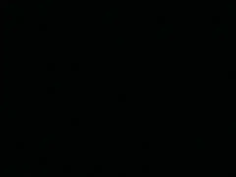 Tigerhill2023 online show from April 2026 01:41:02 PM
