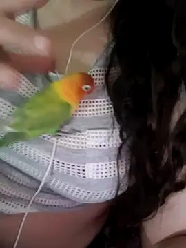 Snapshot of Zanoba-16 chatting on February 2025 12:22:02 PM Zanoba-16 online show from February 2025 12:22:02 PM