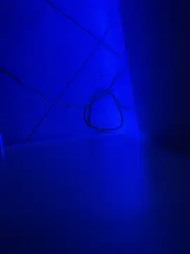 Bennyben8604 online show from December 2024 09:11:01 PM