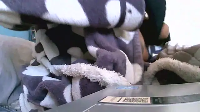 Bustypillows online show from May 2026 09:58:01 AM