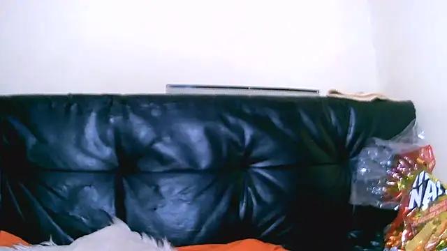 Bustypillows online show from July 2026 03:47:01 PM