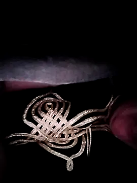 nayakaA7 online show from November 2025 04:44:01 AM